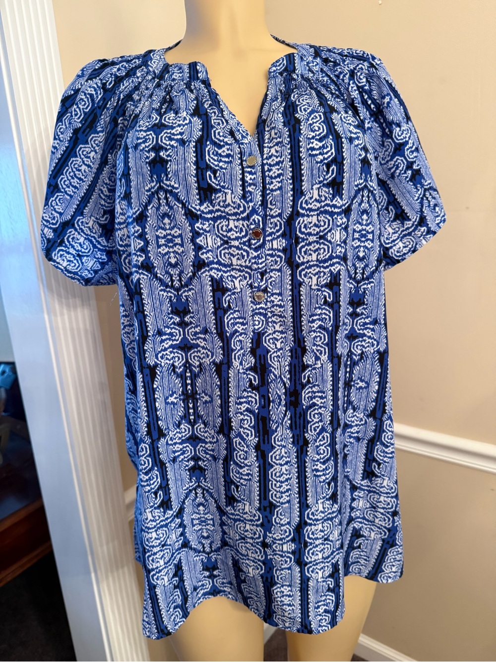 Dana Buchman Blue and White Printed Blouse